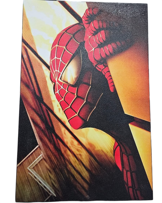 Cuadro Decorativo Spiderman Hombre Araña