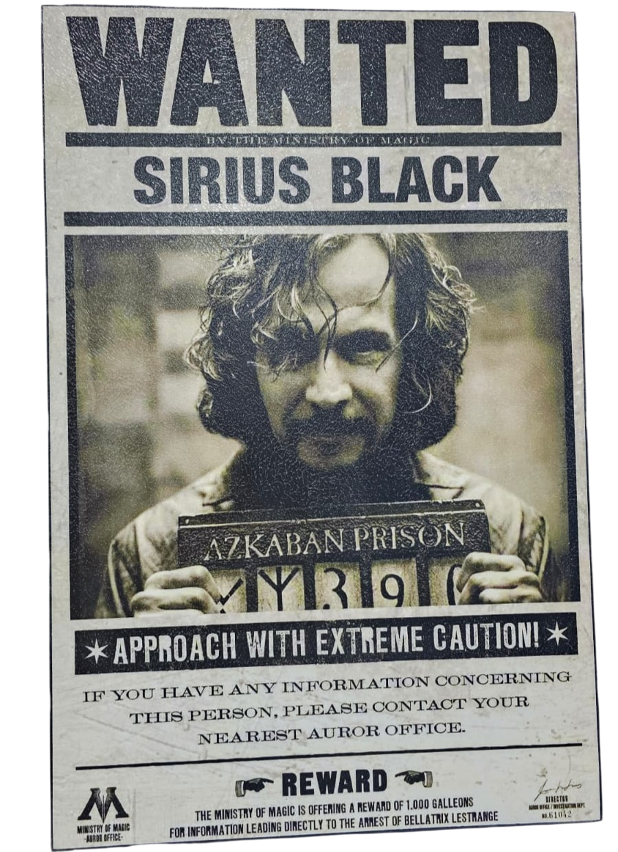 Cuadro Decorativo Sirius Black