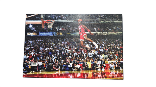 Cuadro Decorativo Diseño Michael Jordan Jugada
