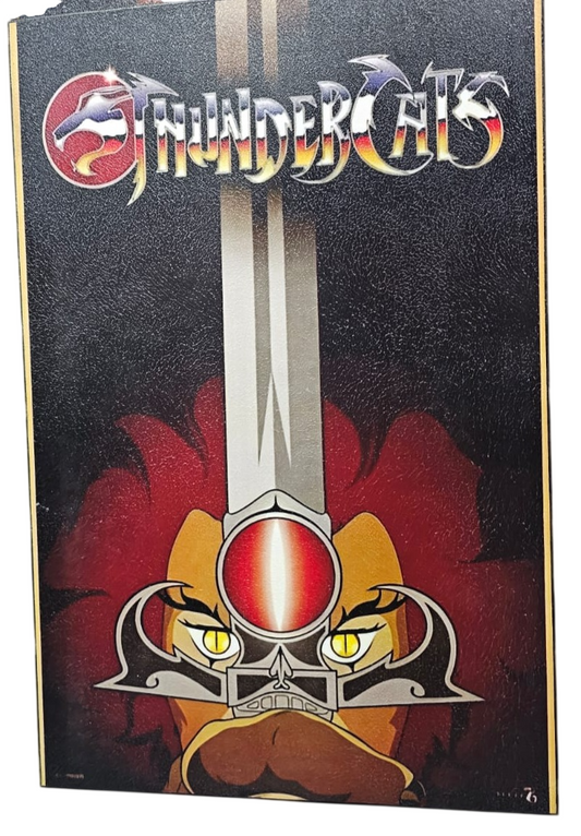 Cuadro Decorativo Diseño Thundercats
